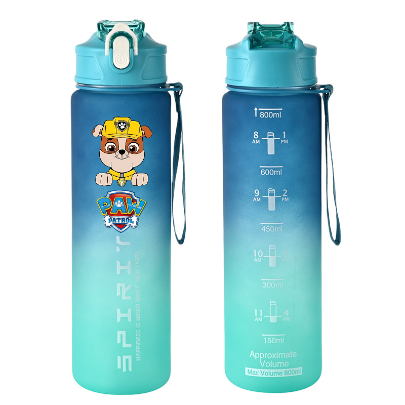 800ml PAW Patrol Sports Water  - огляд і ціна Kids Outdoor Movies