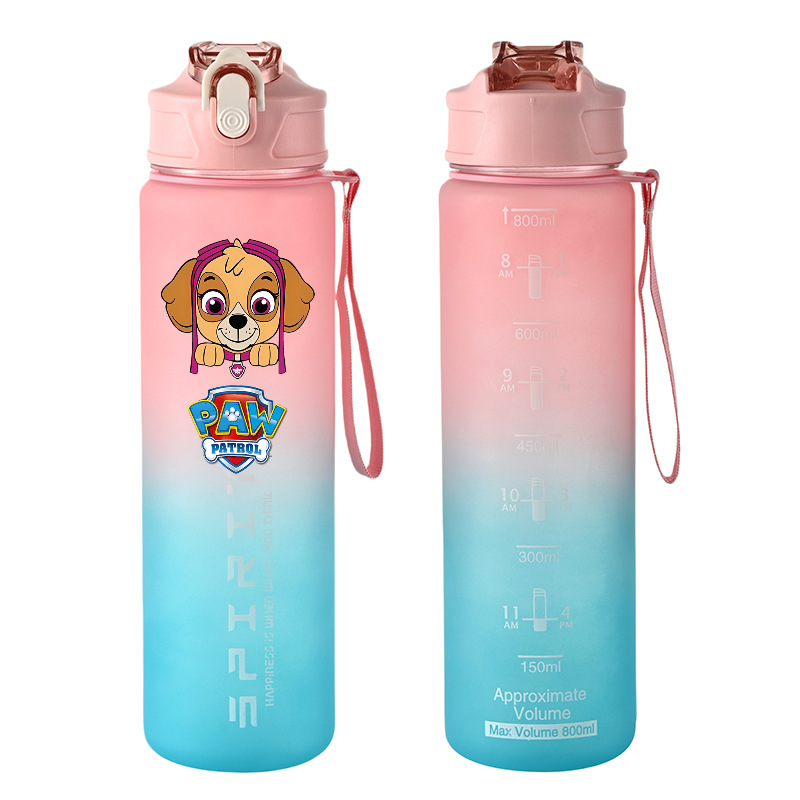 800ml PAW Patrol Sports Water  - огляд і ціна Kids Outdoor Movies
