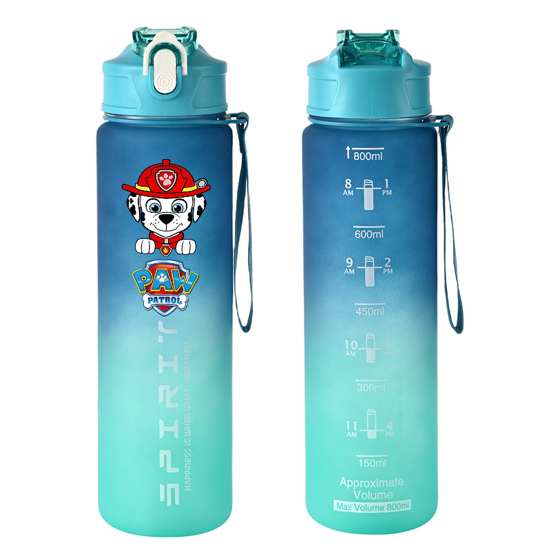 800ml PAW Patrol Sports Water  - огляд і ціна Kids Outdoor Movies