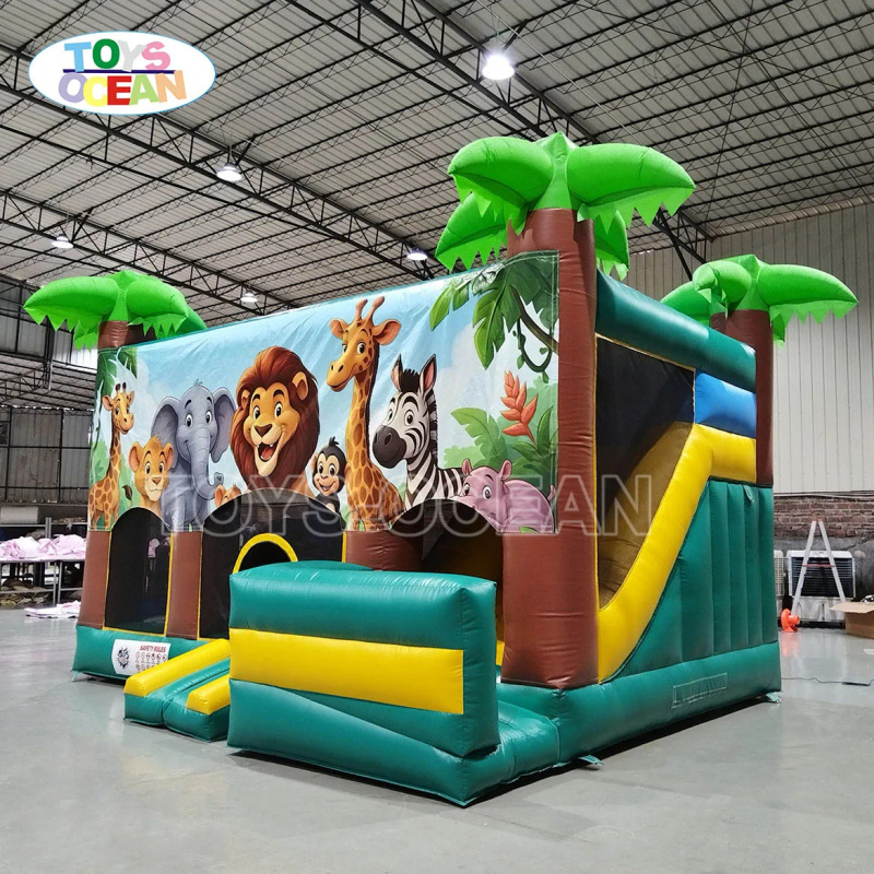 Outdoor Party Rental Inflatabl - огляд і ціна Kids Outdoor House
