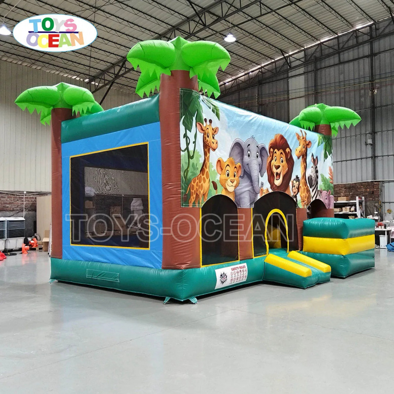 Outdoor Party Rental Inflatabl - огляд і ціна Kids Outdoor House